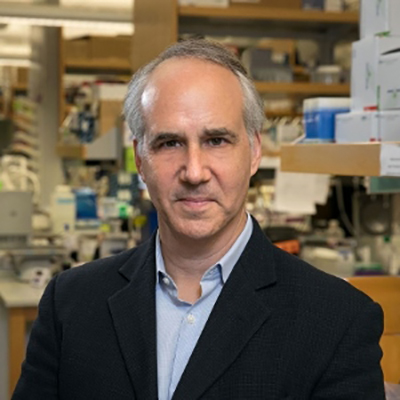 Daniel H. Geschwind, M.D., Ph.D.