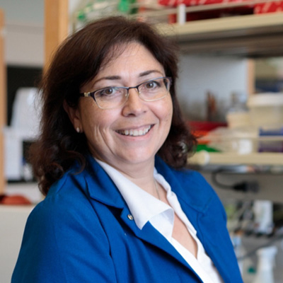 Luisa Iruela-Arispe, M.Sc., Ph.D.