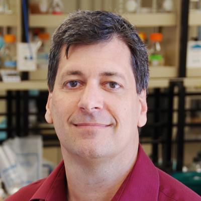 Robert T. Clubb, Ph.D.