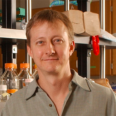 Steven E Jacobsen, Ph.D.