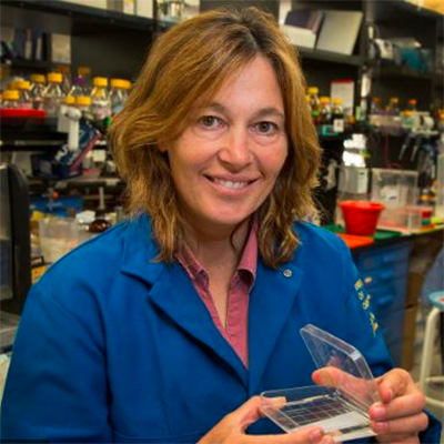 Carla M. Koehler, Ph.D.