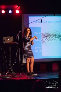 Nerd nite