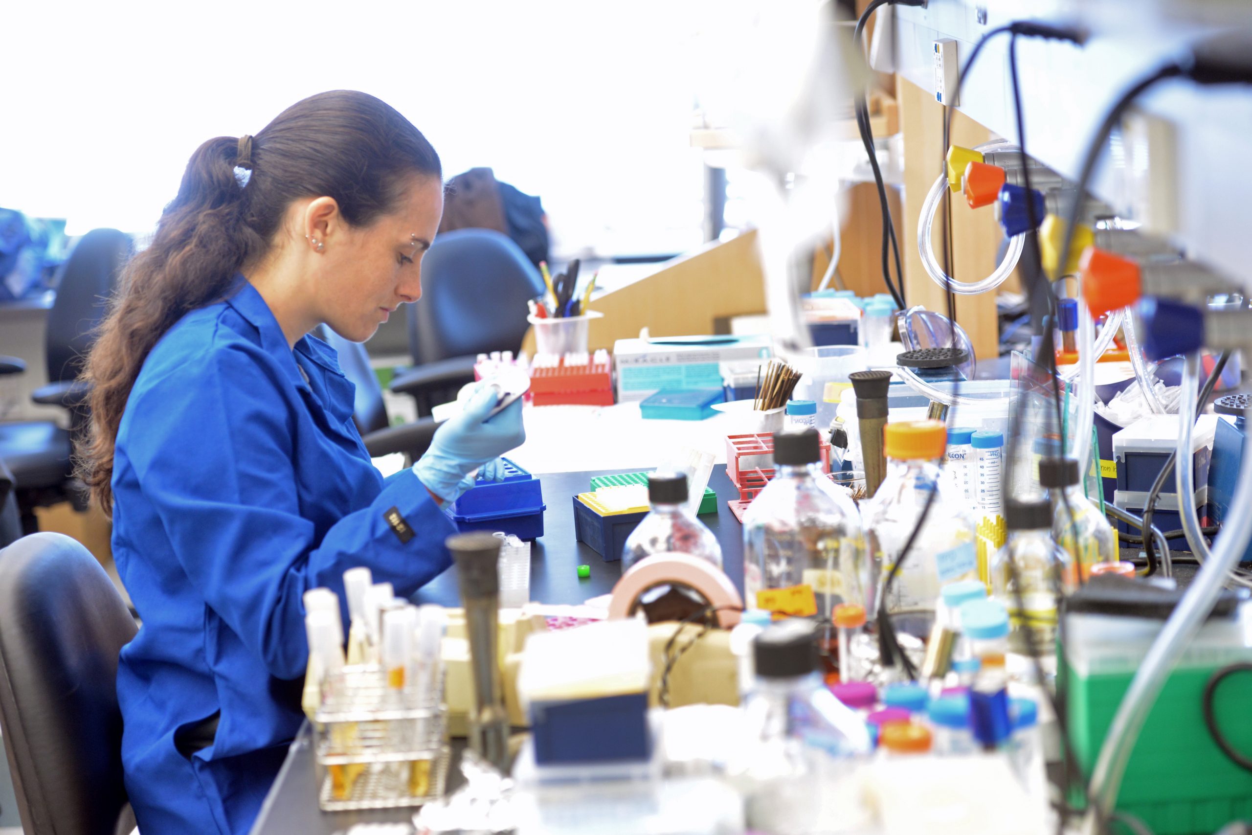 Scientists in lab