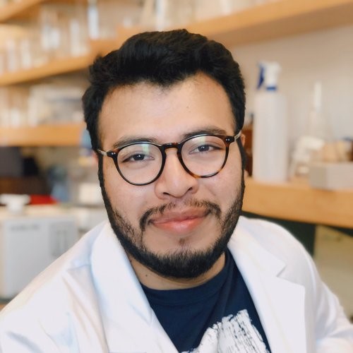 Victor Mendoza profile picture